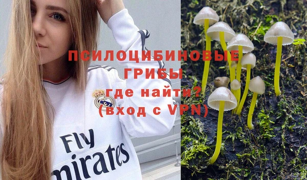 а пвп мука Армянск
