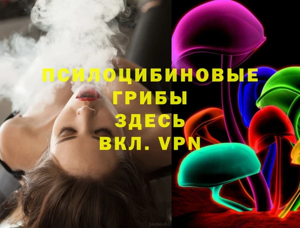Альфа ПВП Алексин