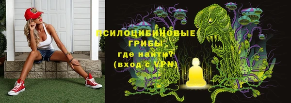 крисы Аркадак