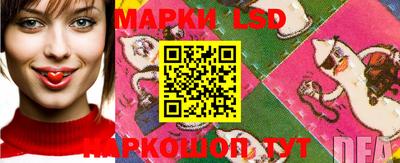 стаф Камышлов