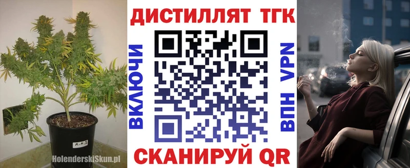 MEGA как зайти  Междуреченск  ТГК концентрат 