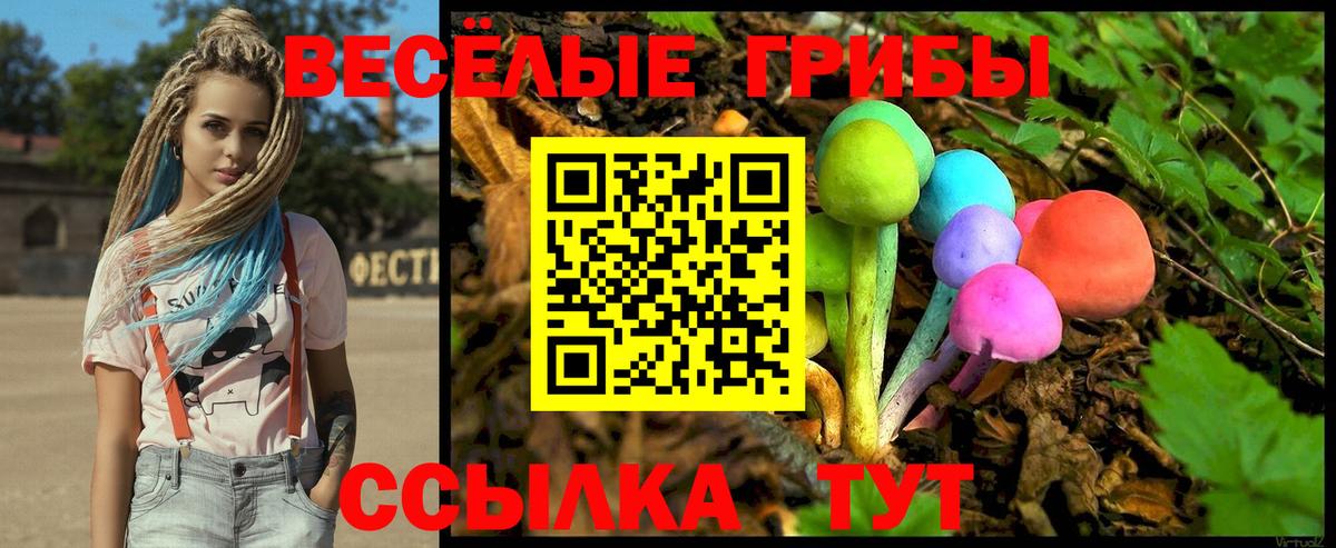 Междуреченск  Галлюциногенные грибы Psilocybine cubensis  Вход с VPN  Псилоцибиновые грибы мицелий 
