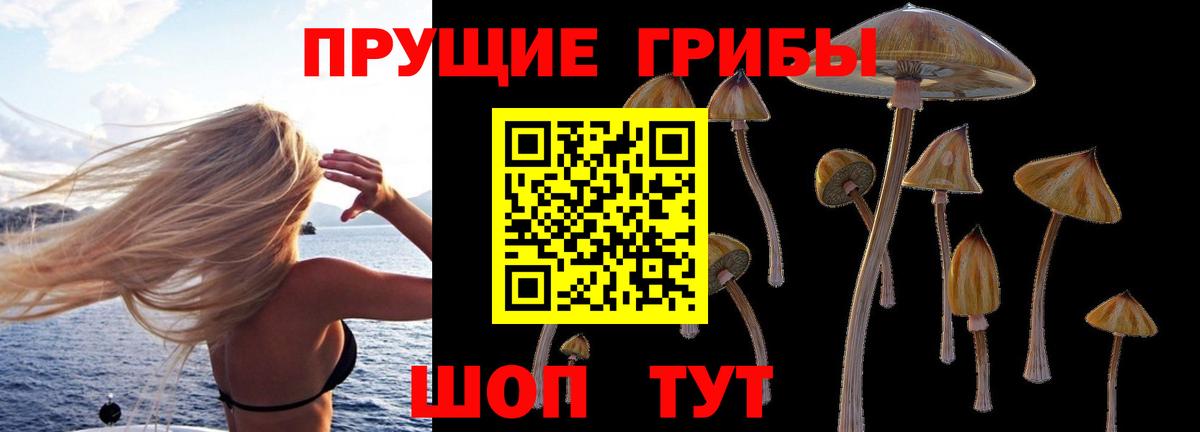 Псилоцибиновые грибы MAGIC MUSHROOMS Междуреченск